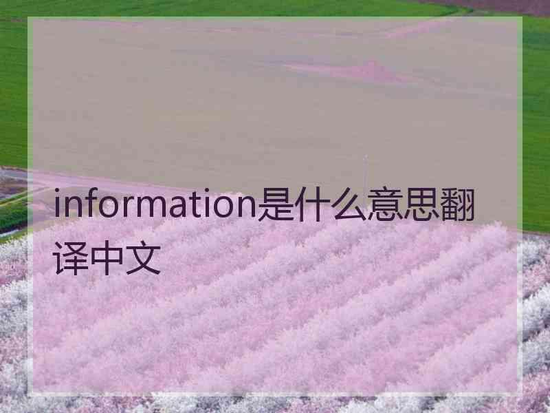 information是什么意思翻译中文