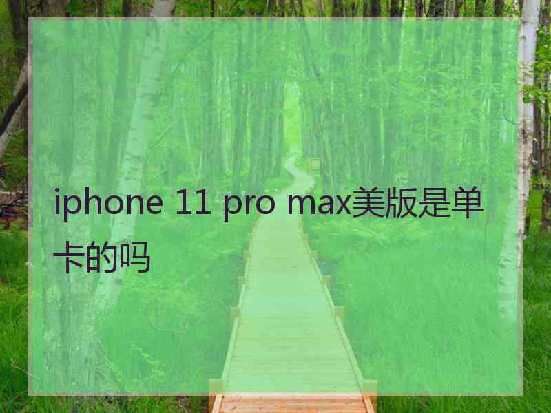 iphone 11 pro max美版是单卡的吗