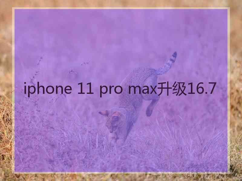 iphone 11 pro max升级16.7