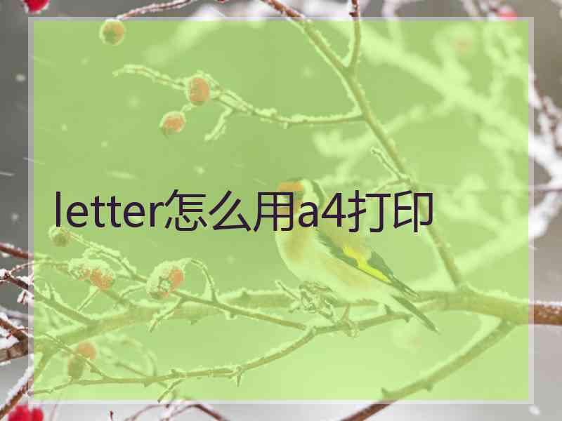 letter怎么用a4打印