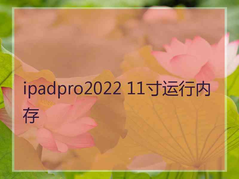 ipadpro2022 11寸运行内存