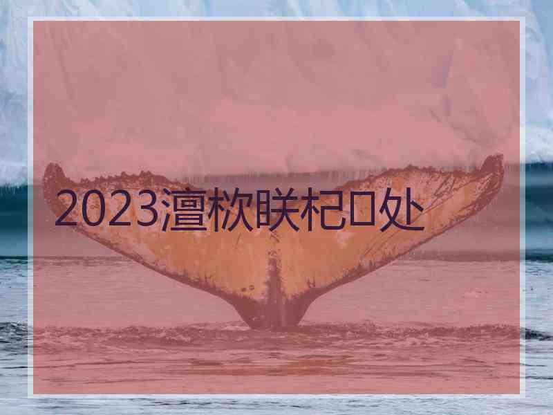 2023澶栨眹杞处