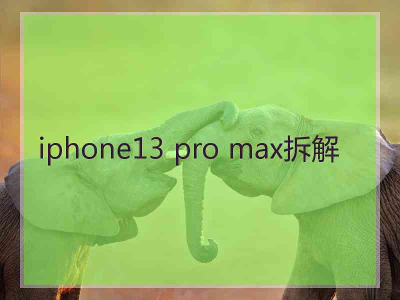 iphone13 pro max拆解