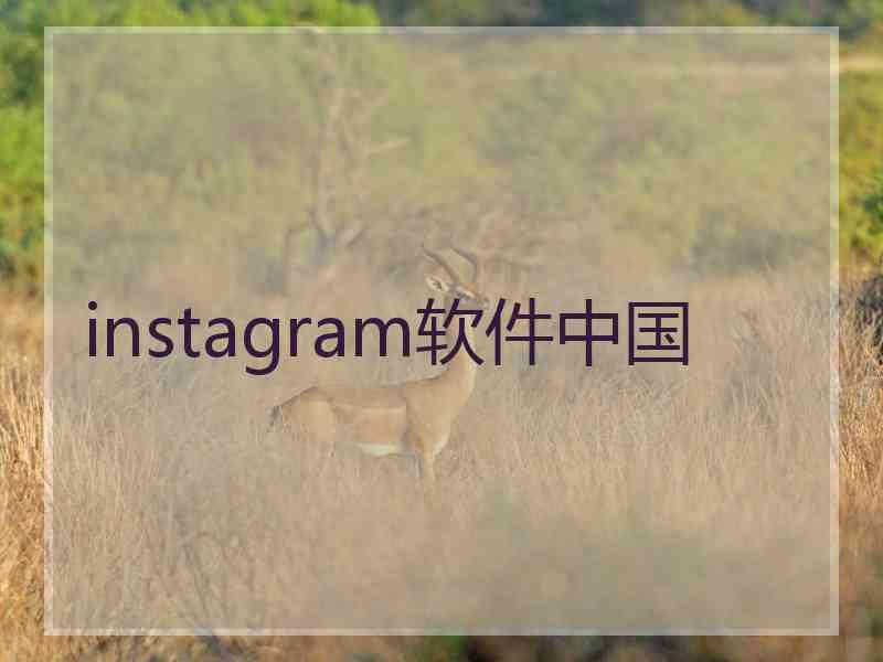 instagram软件中国