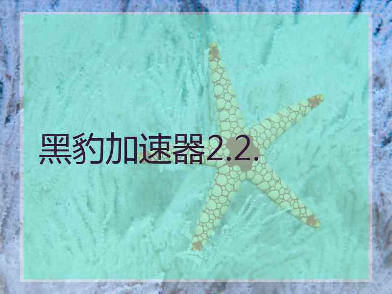 黑豹加速器2.2.