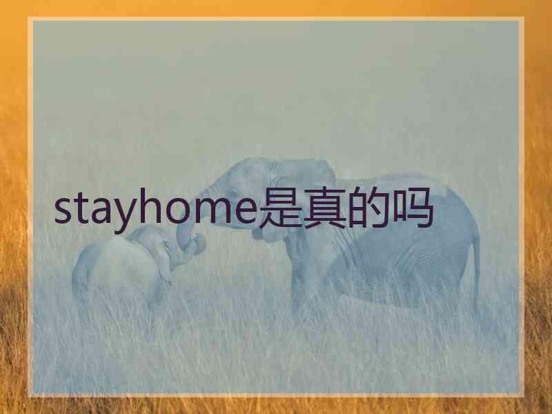 stayhome是真的吗