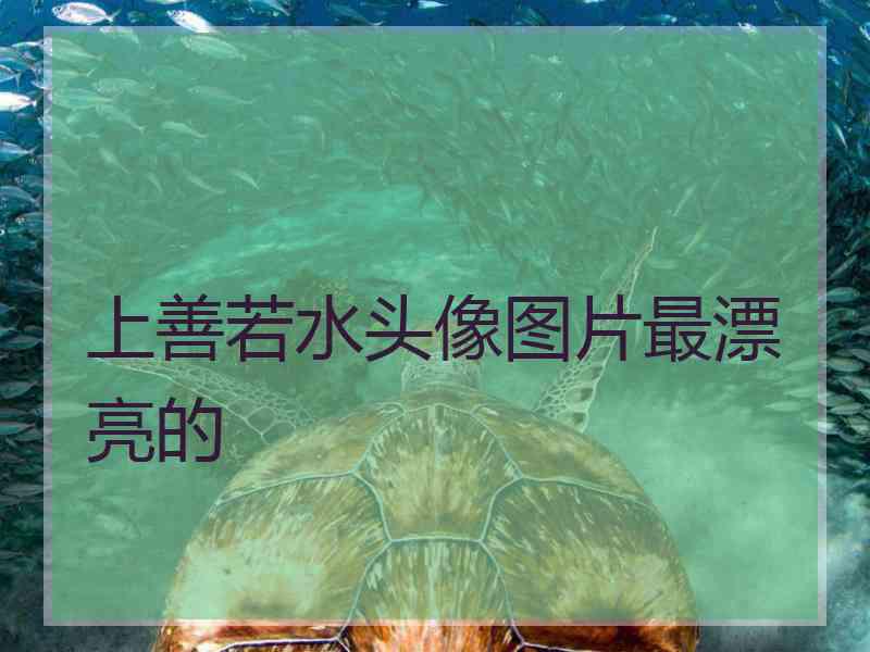 上善若水头像图片最漂亮的