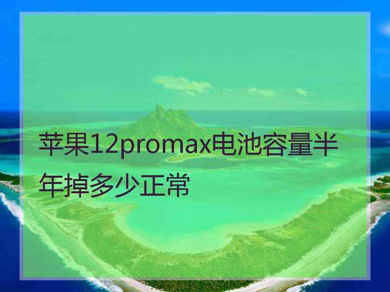 苹果12promax电池容量半年掉多少正常