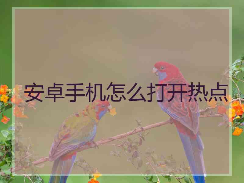 安卓手机怎么打开热点