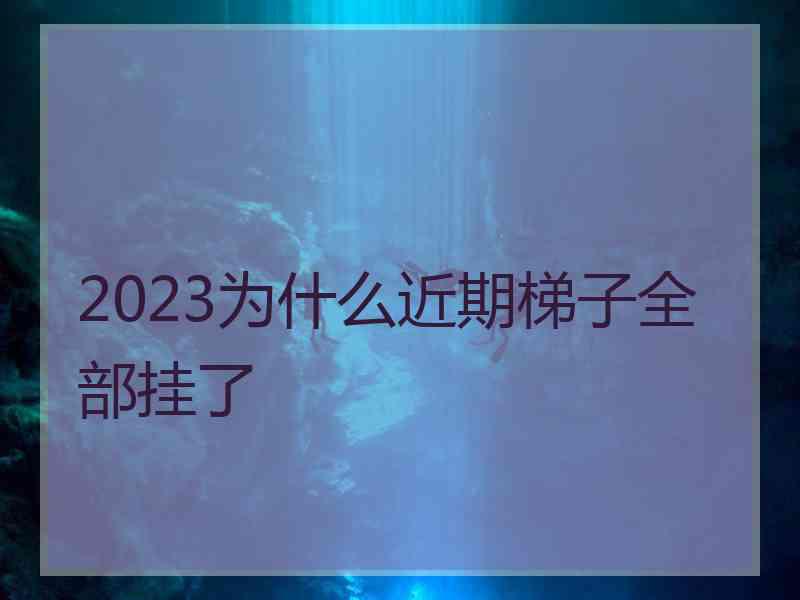 2023为什么近期梯子全部挂了