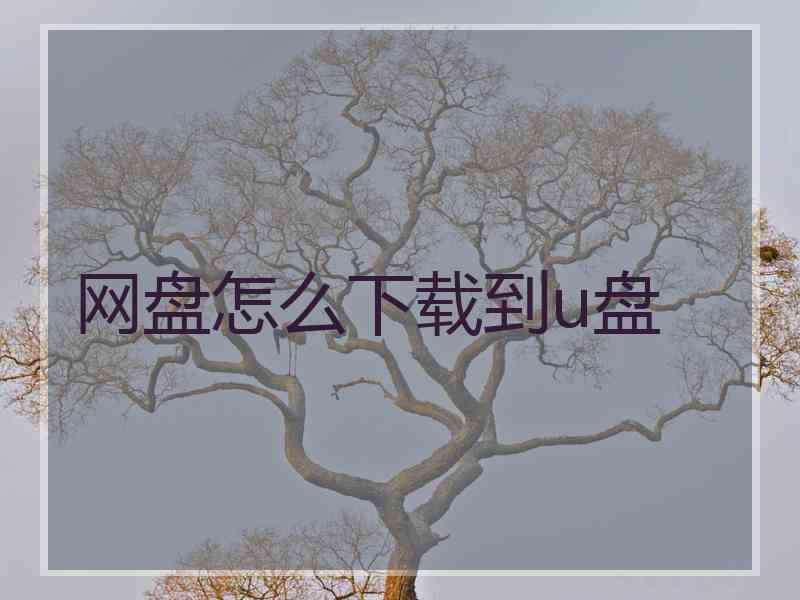 网盘怎么下载到u盘