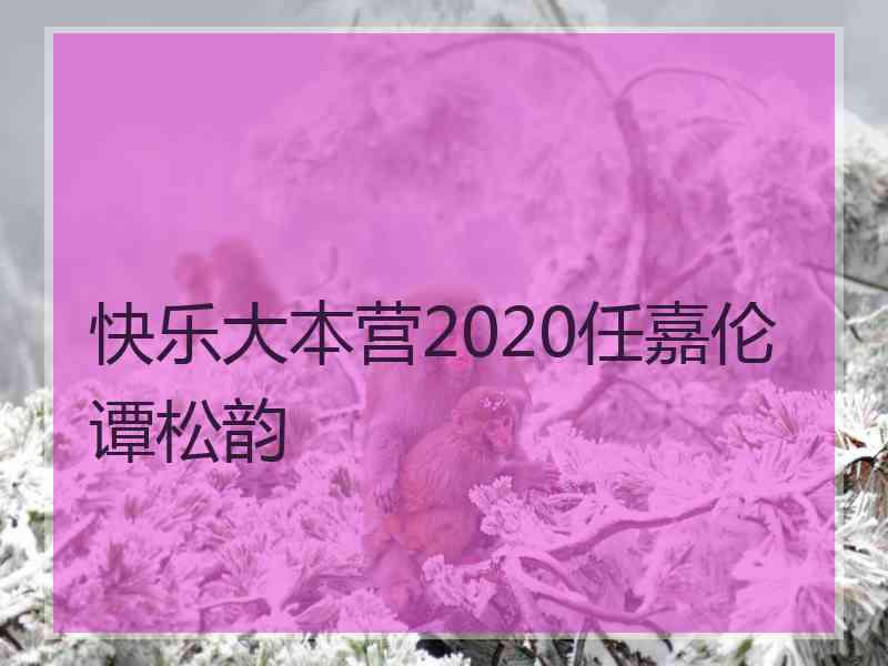 快乐大本营2020任嘉伦谭松韵