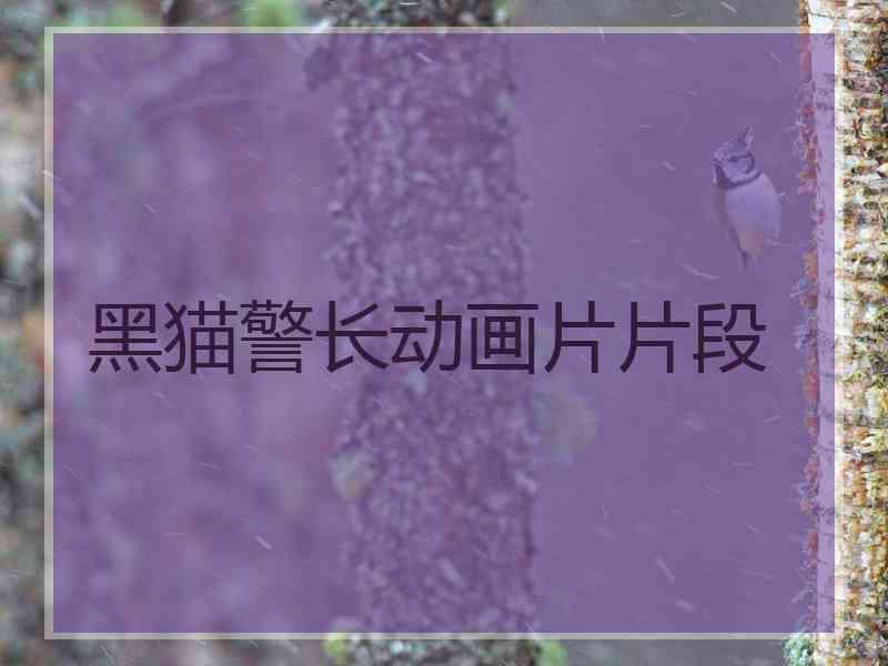 黑猫警长动画片片段