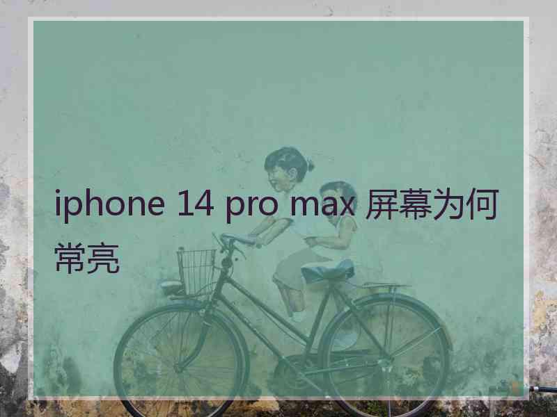 iphone 14 pro max 屏幕为何常亮