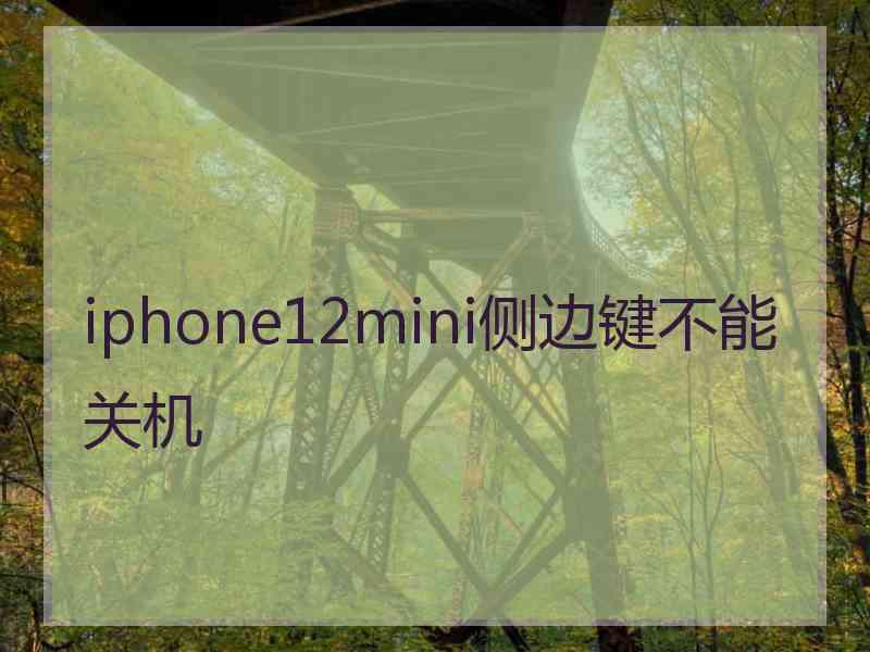 iphone12mini侧边键不能关机