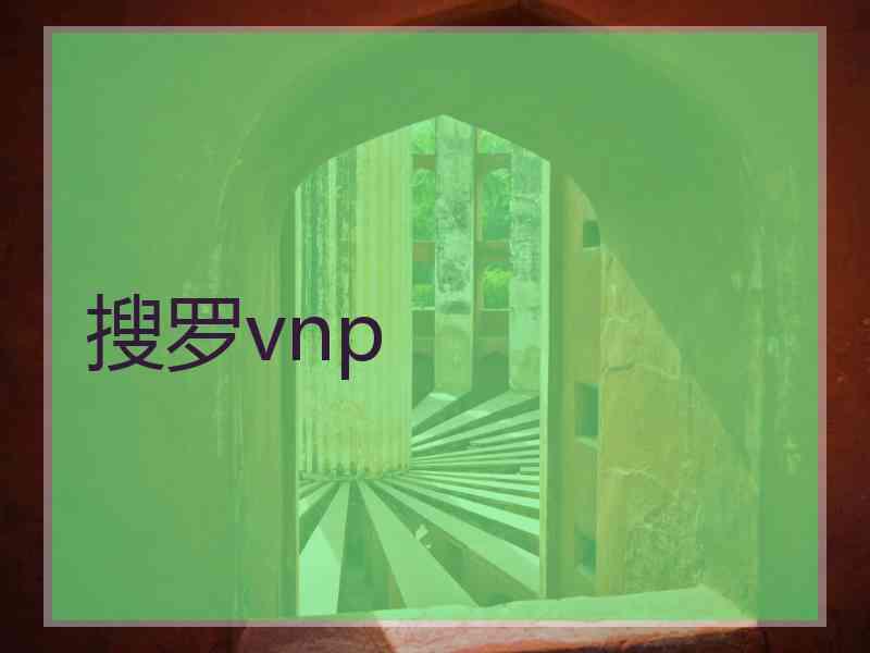 搜罗vnp