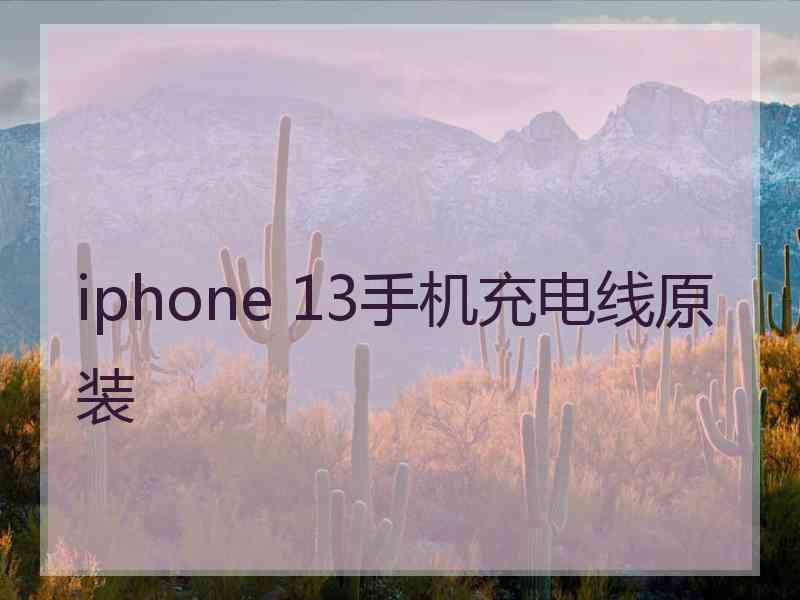 iphone 13手机充电线原装