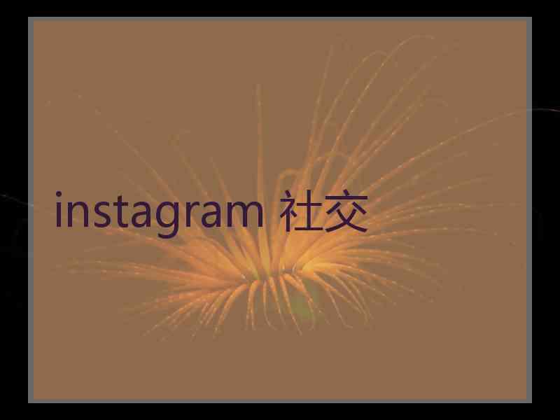 instagram 社交