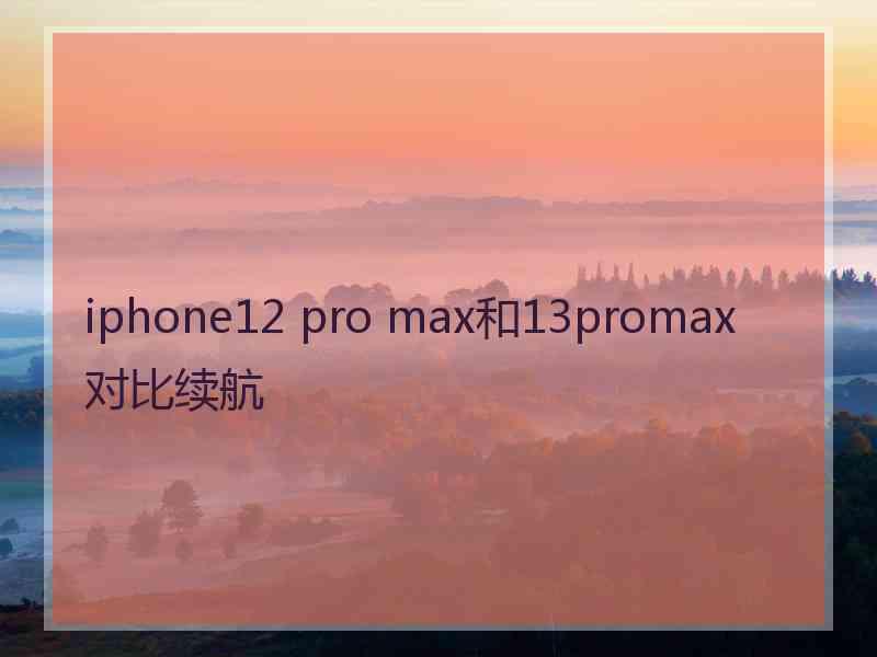 iphone12 pro max和13promax对比续航