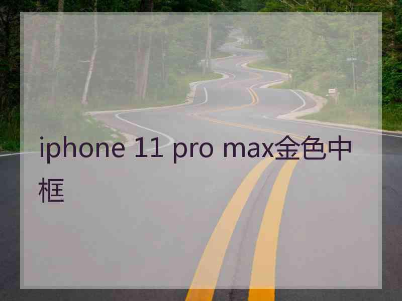 iphone 11 pro max金色中框