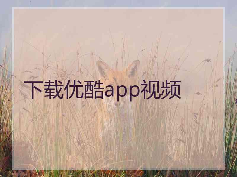 下载优酷app视频