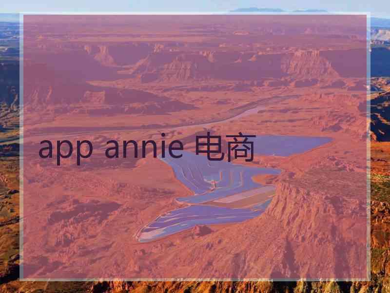 app annie 电商