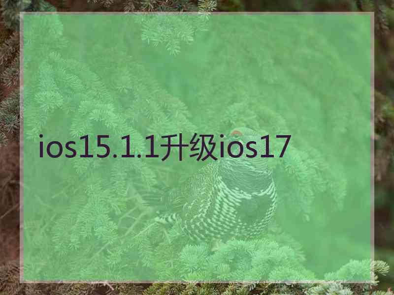 ios15.1.1升级ios17