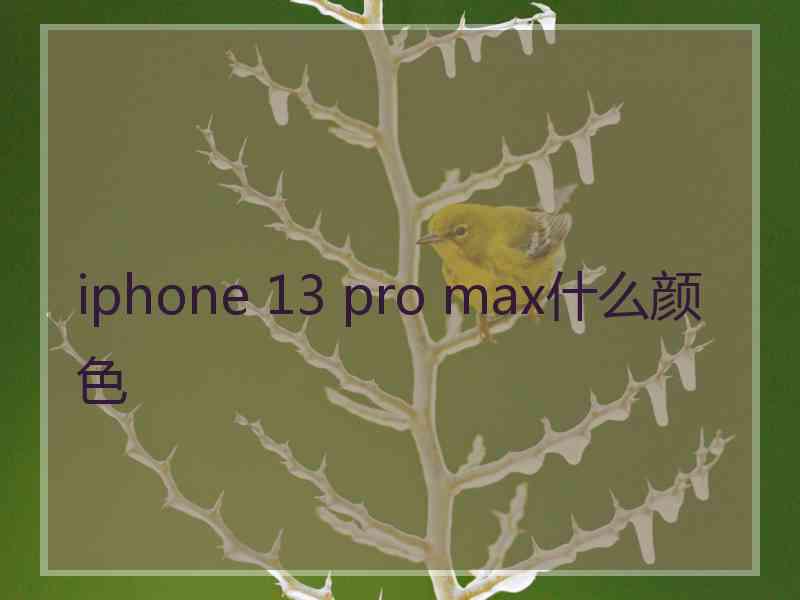 iphone 13 pro max什么颜色