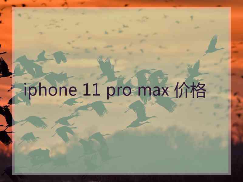 iphone 11 pro max 价格