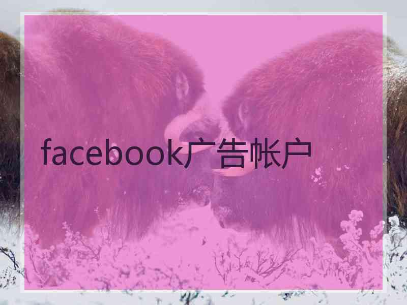 facebook广告帐户