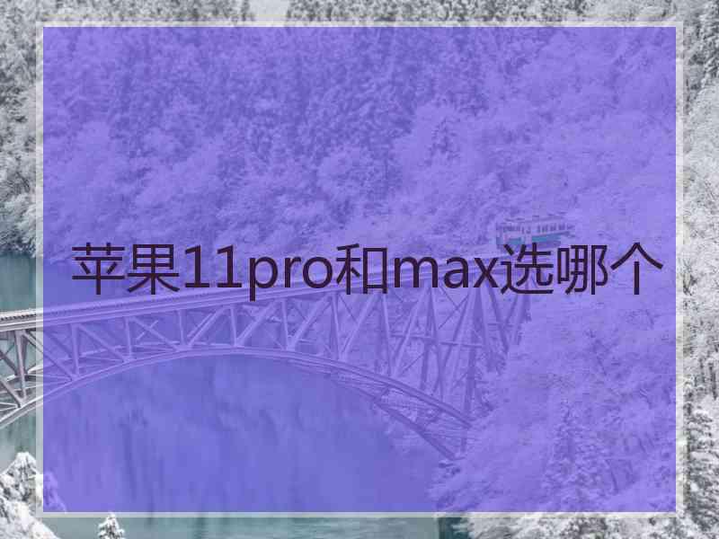 苹果11pro和max选哪个