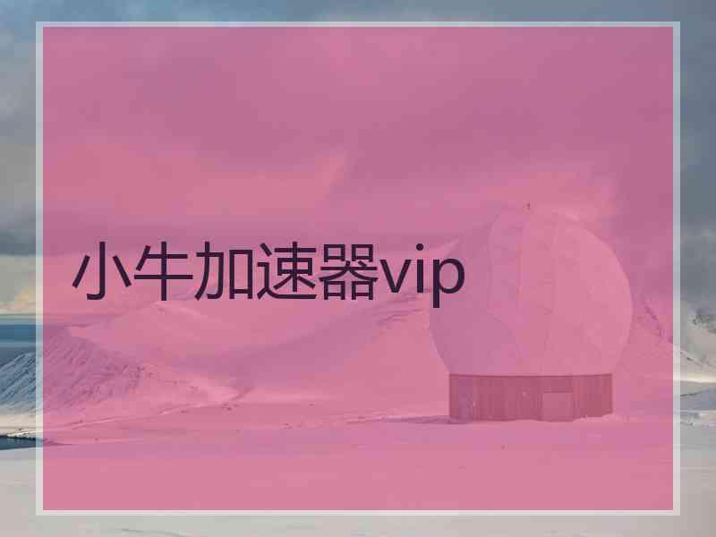 小牛加速器vip