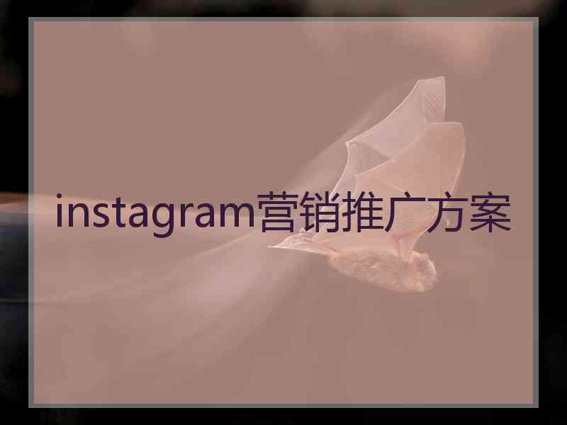 instagram营销推广方案