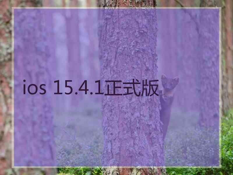 ios 15.4.1正式版