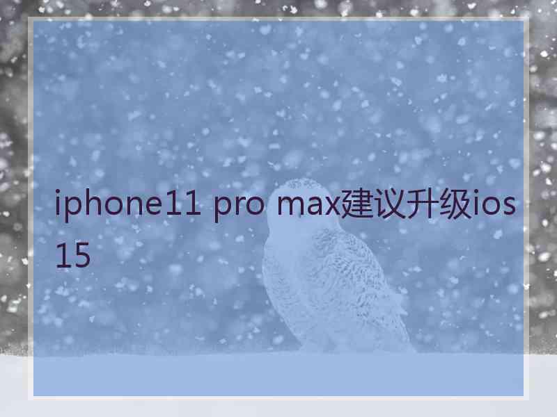 iphone11 pro max建议升级ios15