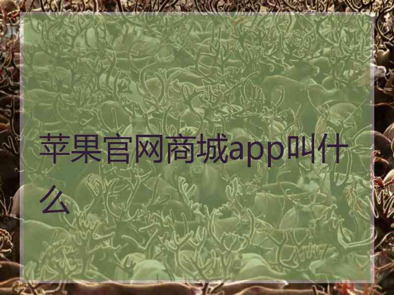 苹果官网商城app叫什么