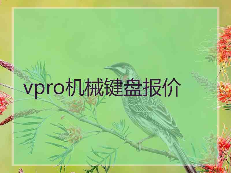 vpro机械键盘报价