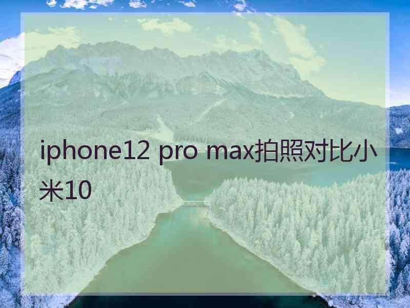 iphone12 pro max拍照对比小米10