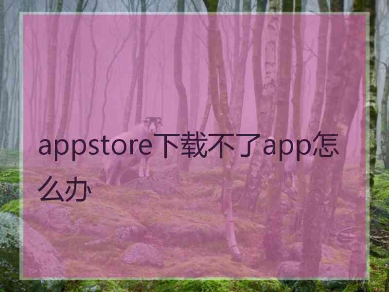 appstore下载不了app怎么办