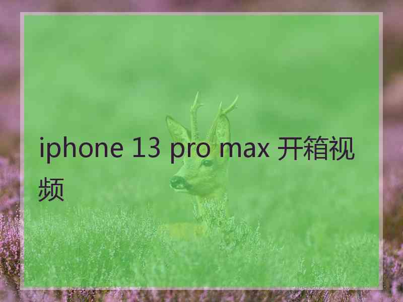 iphone 13 pro max 开箱视频