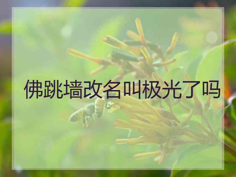 佛跳墙改名叫极光了吗