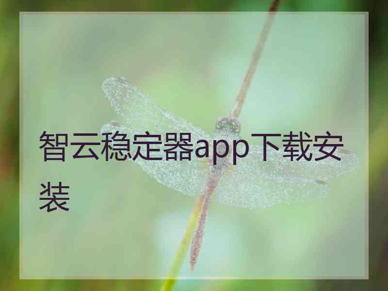 智云稳定器app下载安装