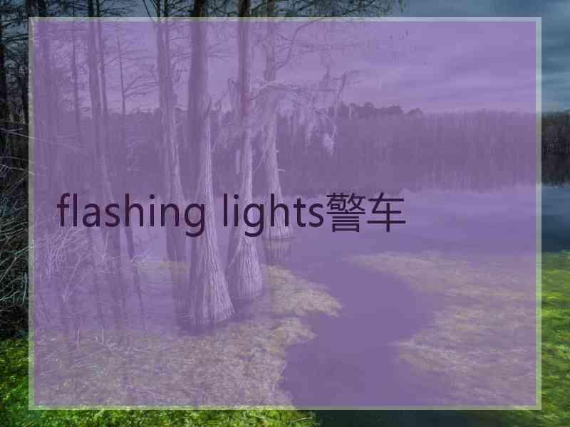 flashing lights警车