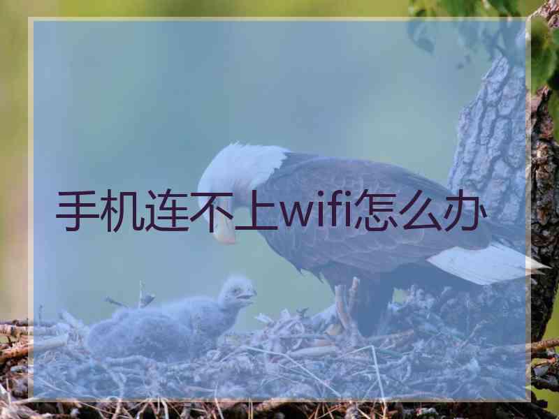 手机连不上wifi怎么办