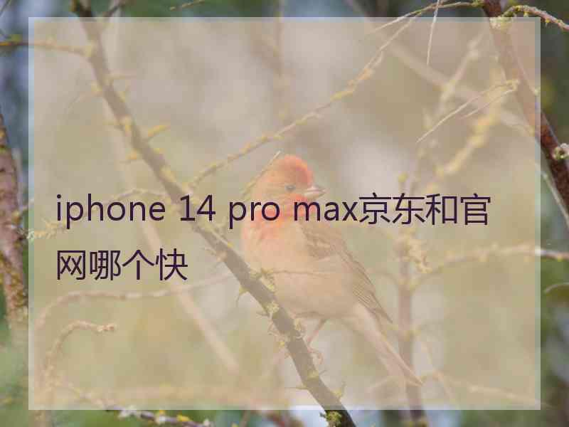 iphone 14 pro max京东和官网哪个快