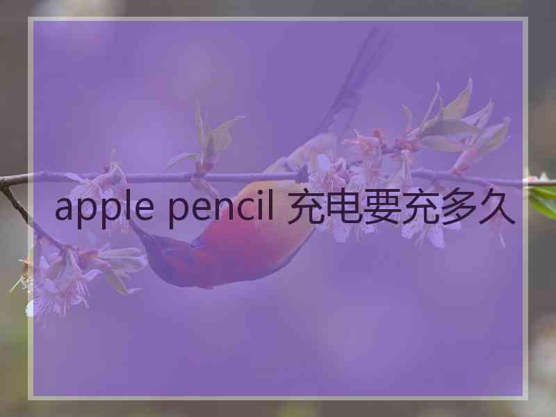 apple pencil 充电要充多久