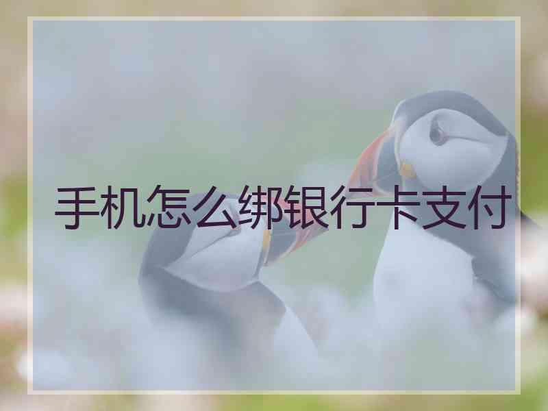 手机怎么绑银行卡支付