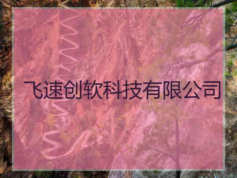 飞速创软科技有限公司