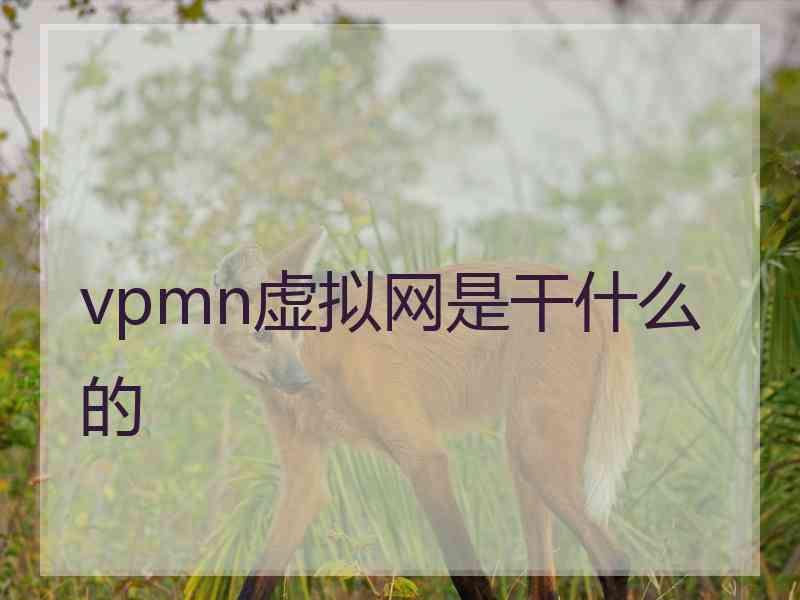 vpmn虚拟网是干什么的