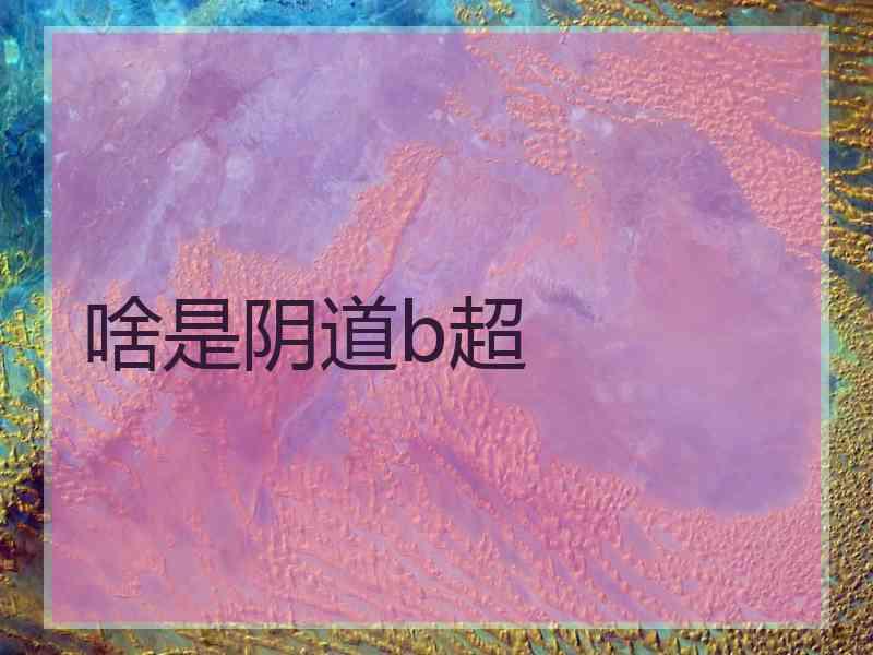 啥是阴道b超